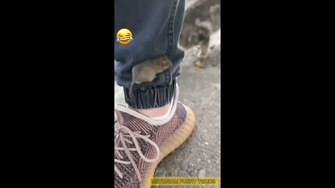 Tom and Jerry!