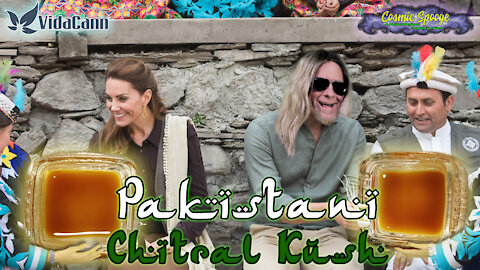 Cosmic Spooge - Episode: 33 - Pakistani Chitral Kush