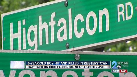 6-year-old boy hit and killed in Reisterstown