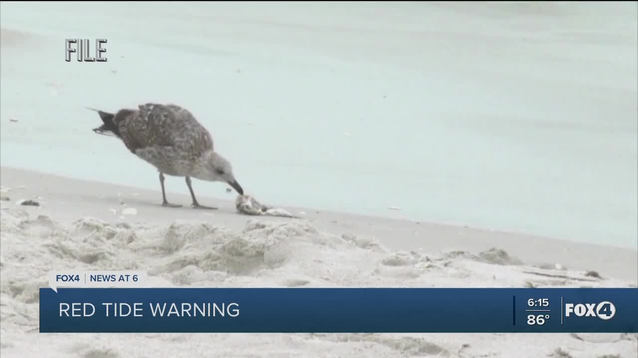 Red Tide warnings issued for areas of Lee County