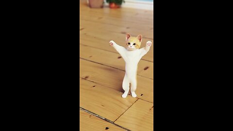 Cat dancing