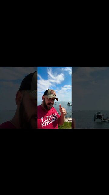 Here’s a pretty good reason… 2A ALL DAY #shortsvideo #shortsfeed #guncontrol