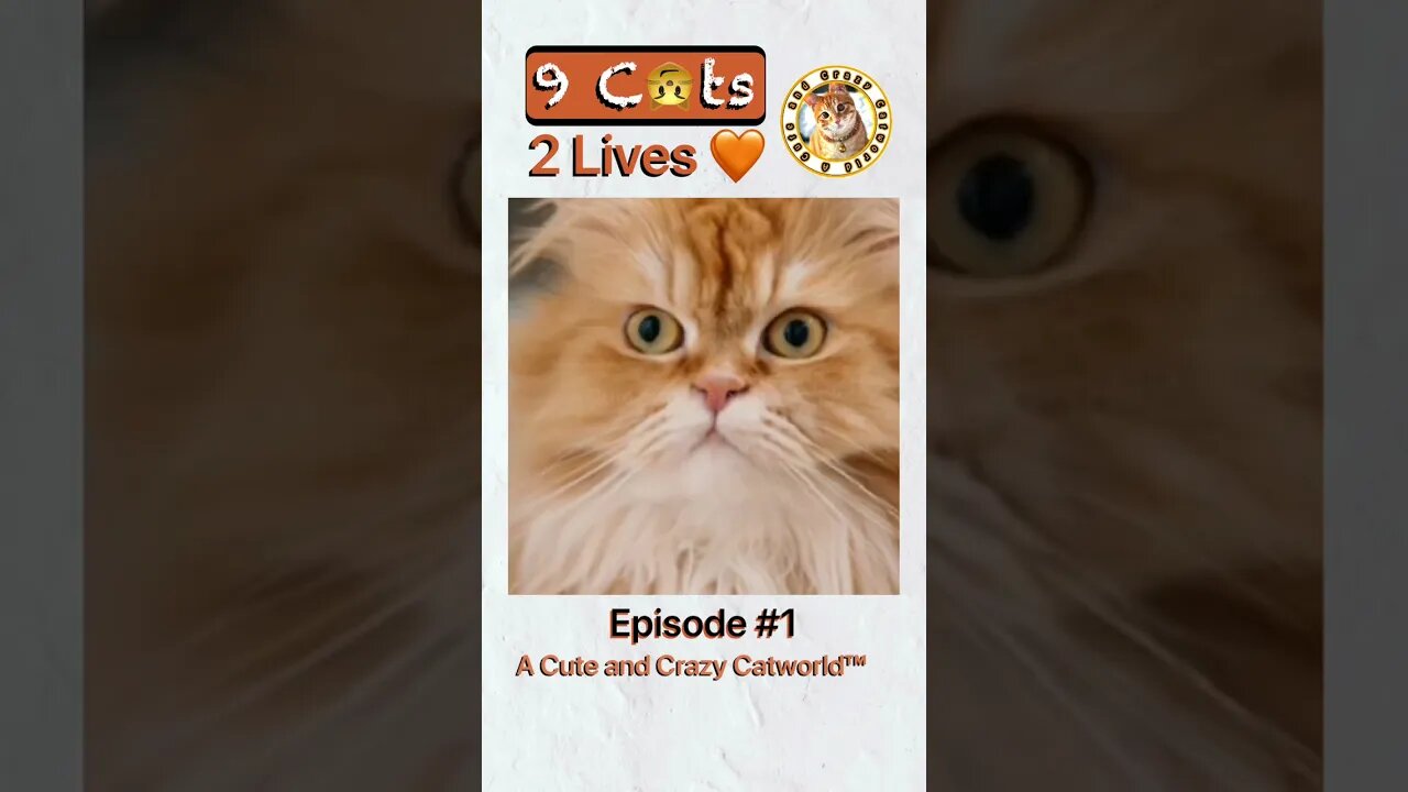 “I Ain’t Seen No Birth Certificate!” (#9C2L, Ep. 1) #Shorts