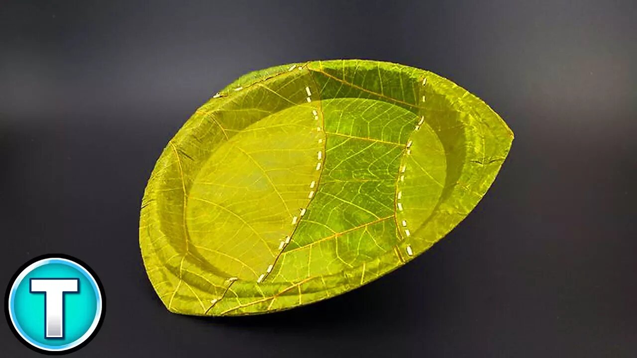 Leaf Plates