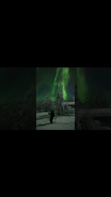 Absolutely Precious, Green is Go Time