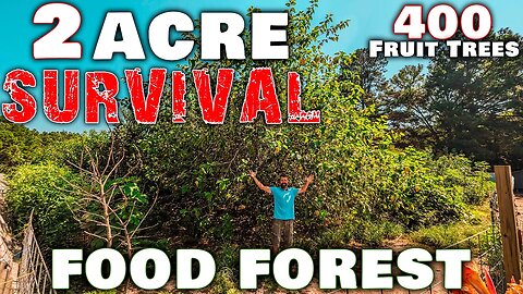 2 Acre SURVIVAL Food Forest 2023! • Prepping For Hard Times!