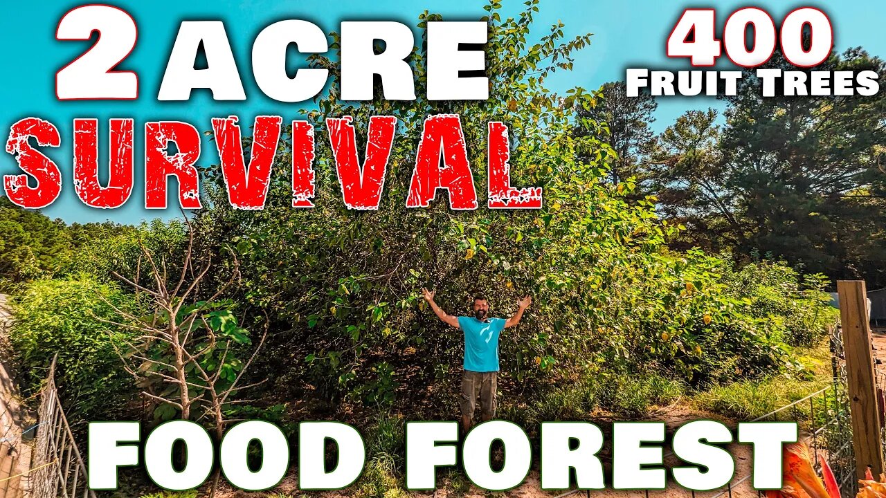 2 Acre SURVIVAL Food Forest 2023! • Prepping For Hard Times!