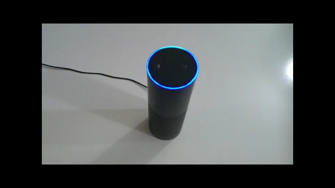 Diary of a Chihuahua - Alexa story
