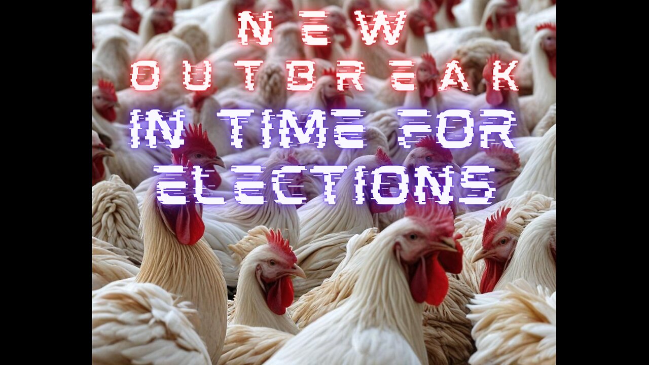 New Outbreak! Just in time for Election Season! Feathered Fallout: Bird Flu Insights