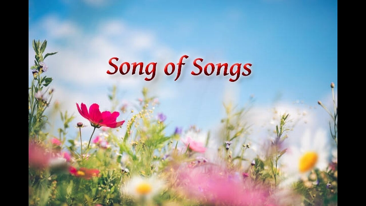 Song of Songs P1 Initial Love