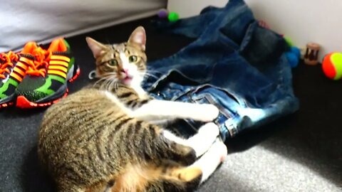 Hooman, I Won't Let U Get Ready, unless I Can Come With U