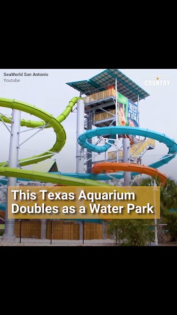 This Texas Aquarium Doubles as a Thrilling Water Ride