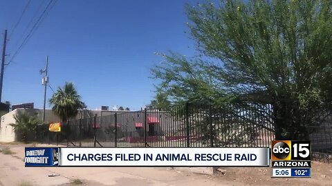 Charges filed in Phoenix animal rescue raid