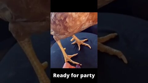 Ready for party :)