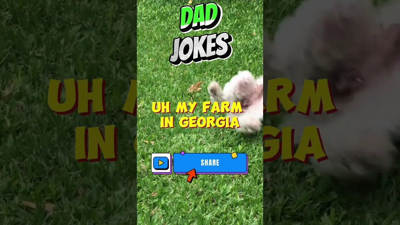 Funny Dad Jokes USA Edition # 465 #lol #funny #funnyvideo #jokes #joke #humor #usa #fun #comedy