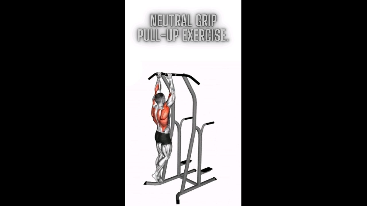 Neutral Grip Pull-up Exercise.