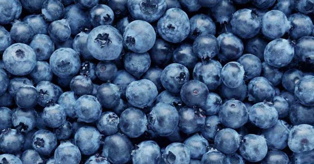 Why You Should Eat Blueberries Now (Top 7 Reasons)