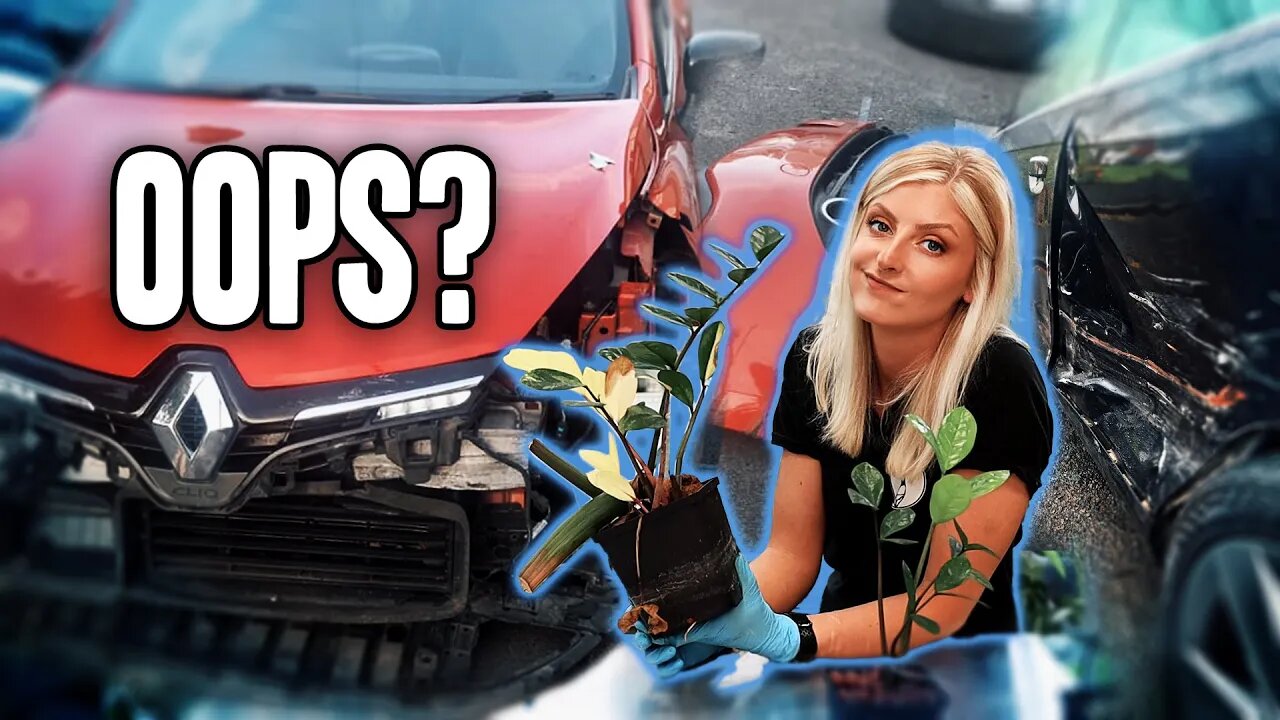 MY NEW CAR WAS WRITTEN OFF AFTER 6 HOURS! | Repot With Me + Storytime