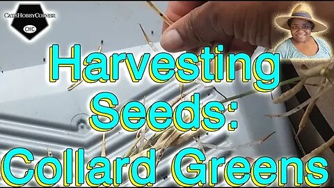 #harvest #collardgreens #seeds - #catshobbycorner