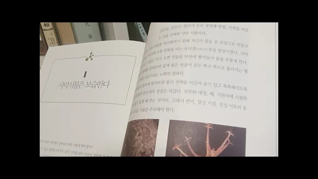 사람을 살리는 음식 사람을 죽이는 음식, 최철한, 사막, 건조, 일교차, 선인장, 알로에, 진액, 악마의발톱