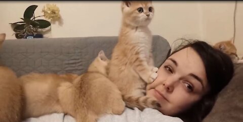 the same moment around the world when you have cheeks like William's cat 🤣 Quarantine