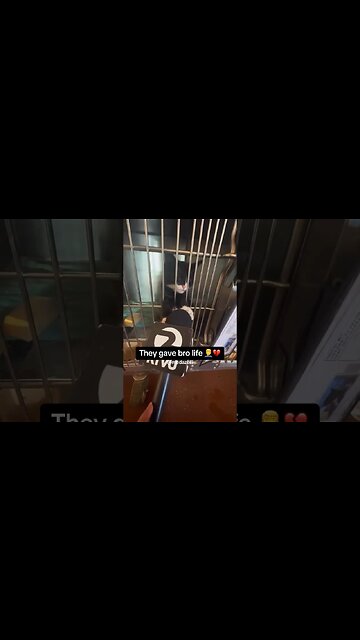 They gave bro Life 🤦‍♂️