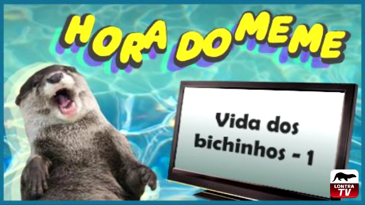 Vida dos Bichinhos #1 - Life of Pets #1