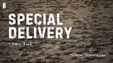 Special Delivery, Part 2 | Stacie Tchividjian