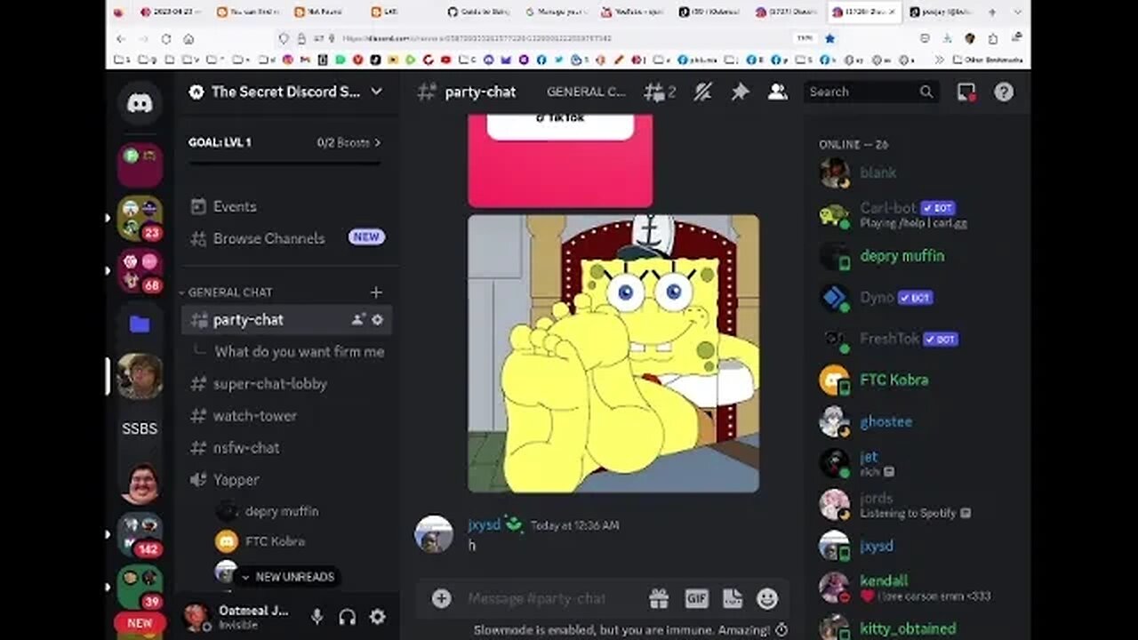 Discord Drama, TikTok Stuff, Kitten, Sauce, short