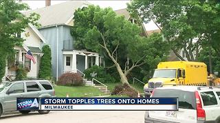 Overnight storms uproot trees in Milwaukee's Riverwest neighborhood leaving damage to homes, cars