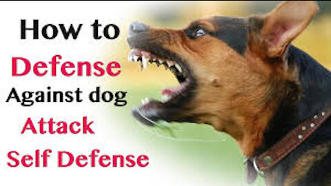 How to defend against a dog attacking you,selfdefense against dog attacks