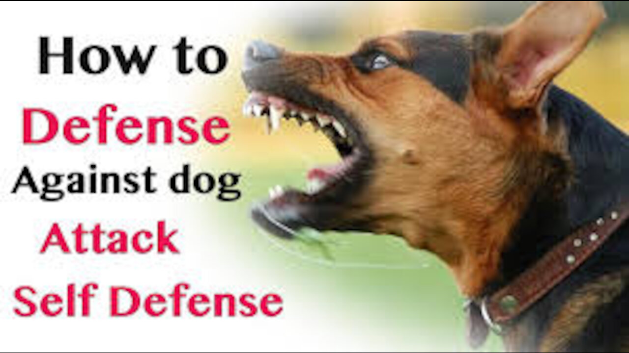 How to defend against a dog attacking you,selfdefense against dog attacks
