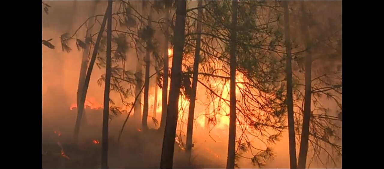 Firefighters and Locals Battle Blaze as fire sweep Northern Portugal| AFP