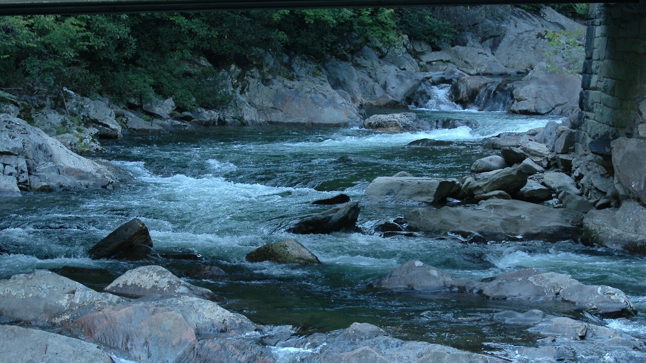 Roaring Fork Motor Nature Trail