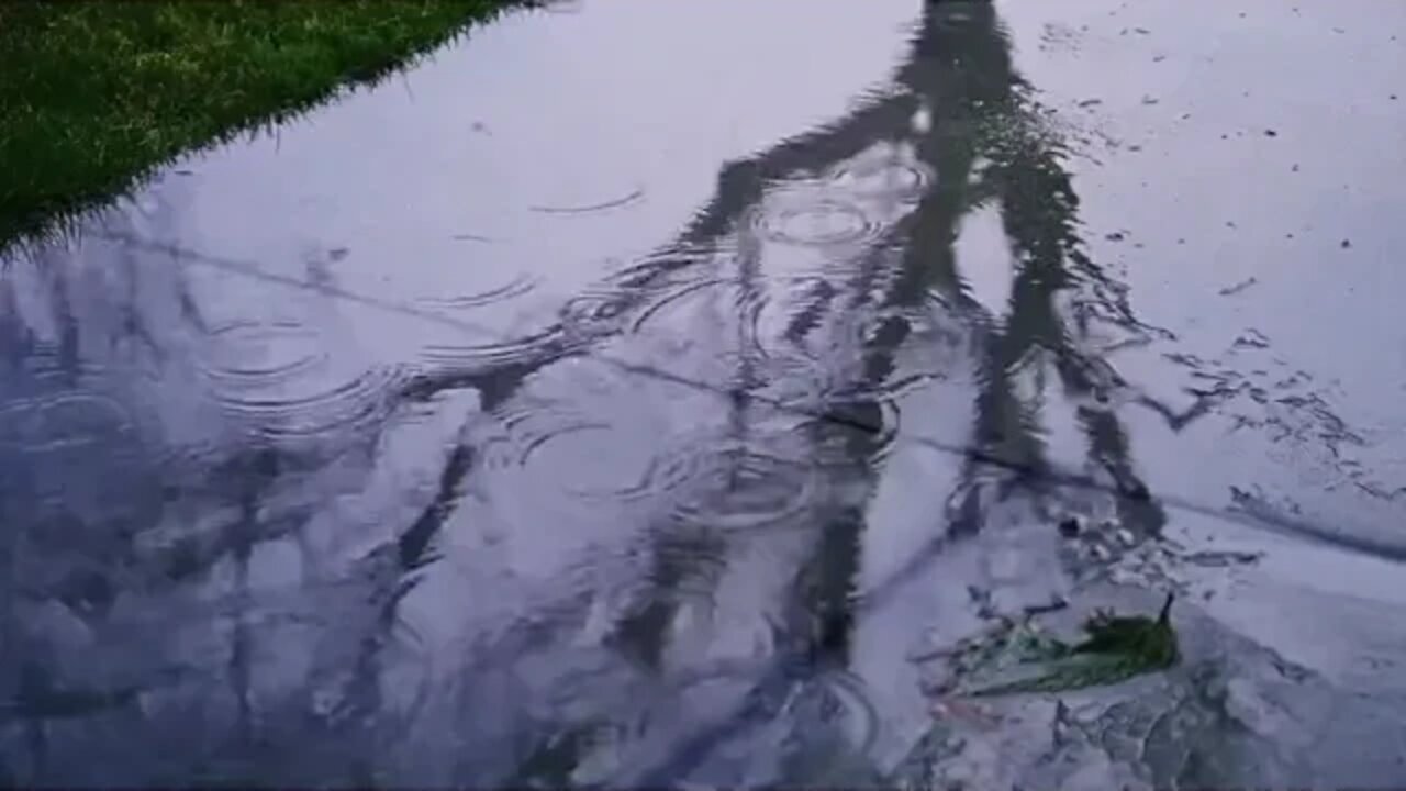 Calm raining video 99% Instantly Fall Asleep With Rain Sound At Night