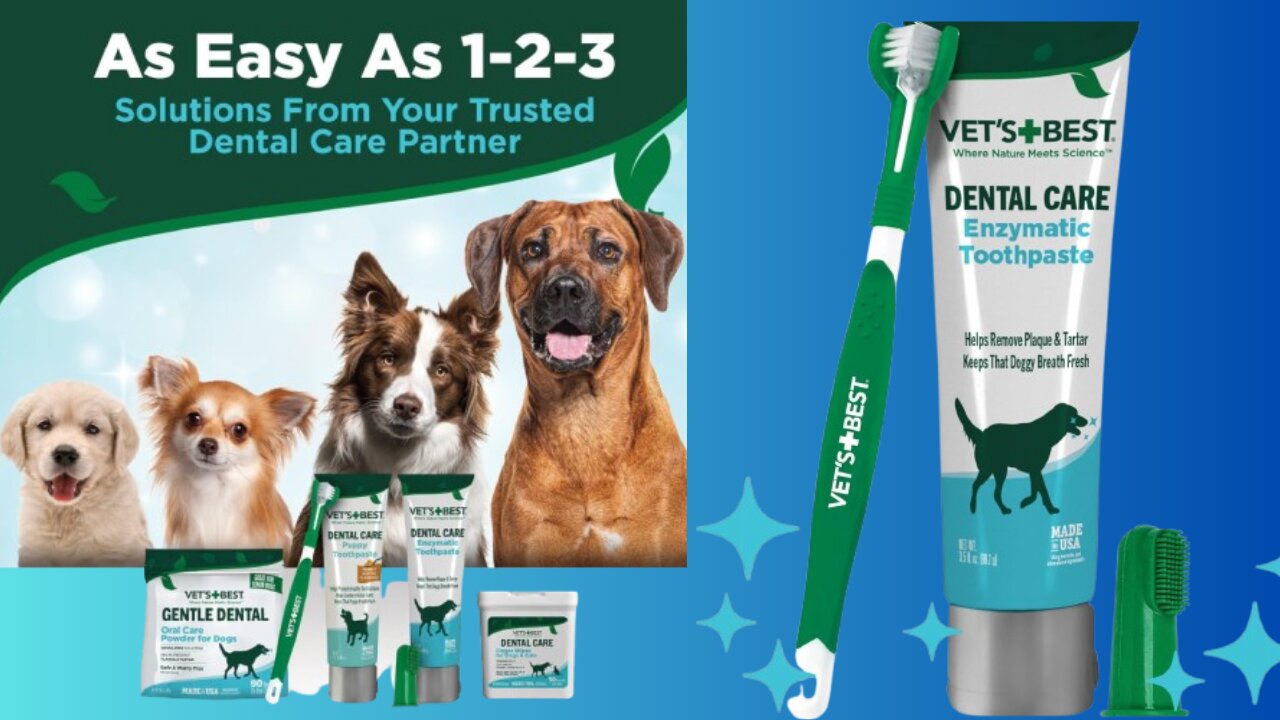 Vet's Best Dog Toothbrush & Enzymatic Toothpaste Kit