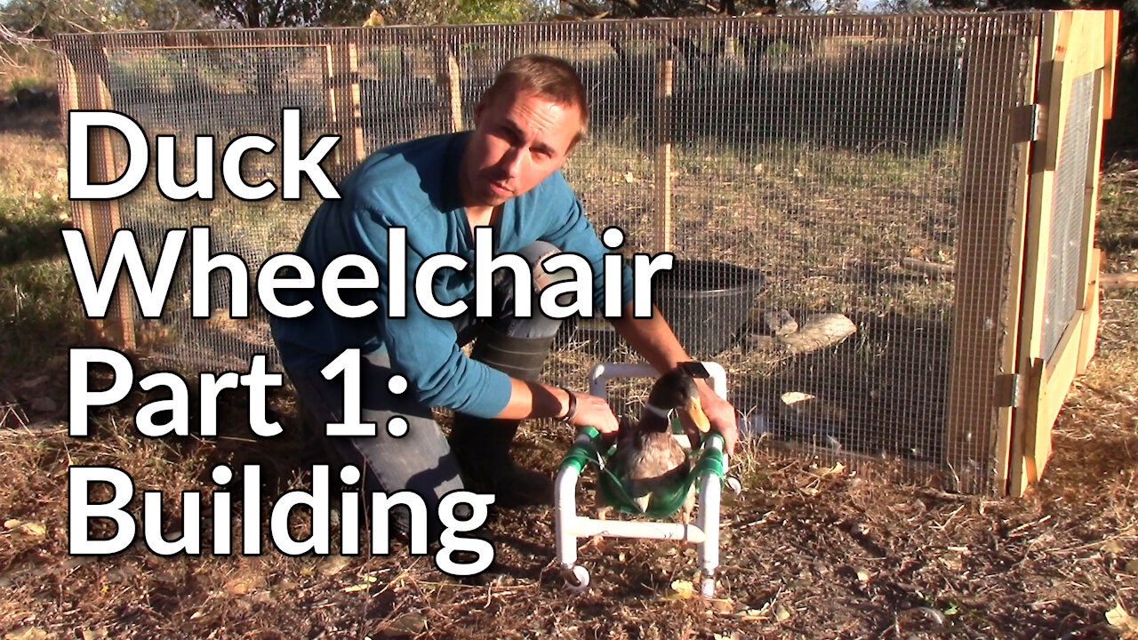 Building a Duck Wheelchair - Part 1: Building