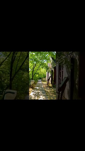 NATIONAL Village MUSEUM, BUCHAREST | 4k Virtual Tour | #shorts