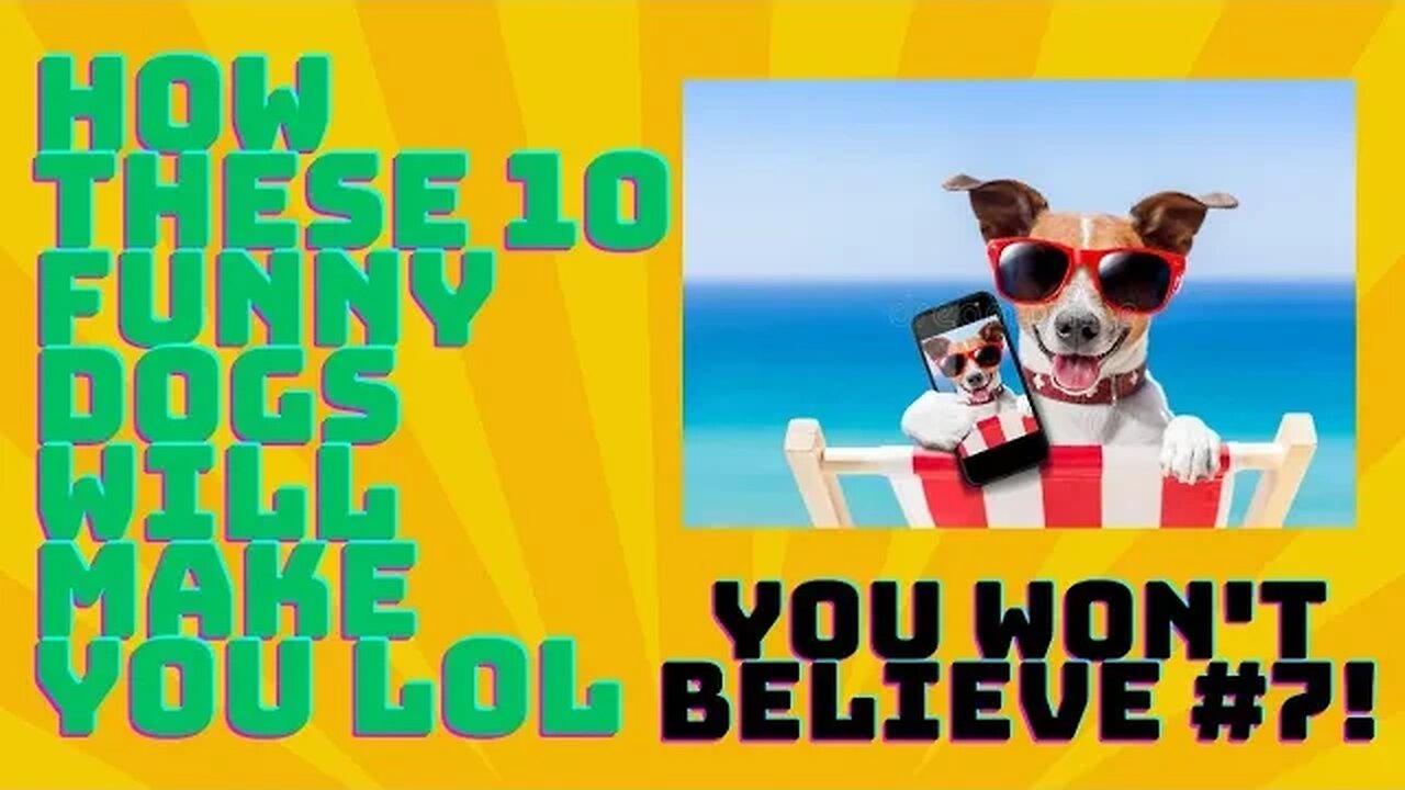 Laugh Out Loud with These Top 10 Funny Dog Videos of 2023 - Guaranteed to Brighten Your Day!