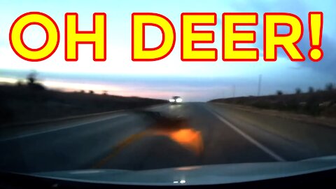 Almost Hitting a Deer — DERBY, KS | Caught On Dashcam | Close Call | Footage Show