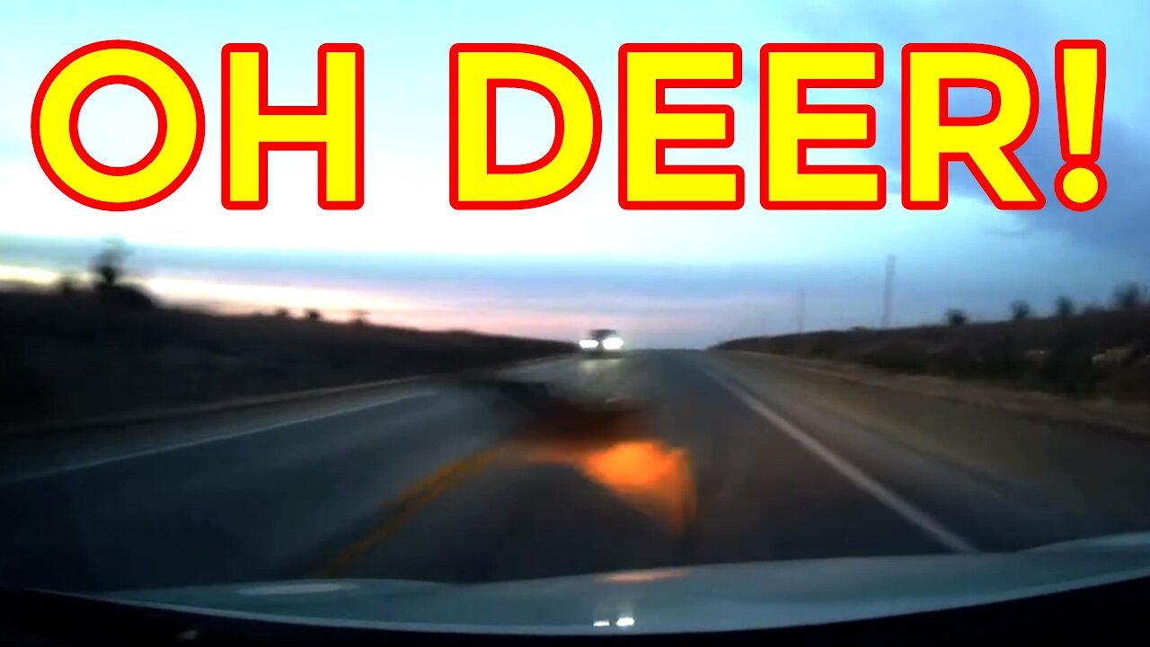 Almost Hitting a Deer — DERBY, KS | Caught On Dashcam | Close Call | Footage Show