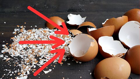 10 Genius Gardening Hacks Using Household Items