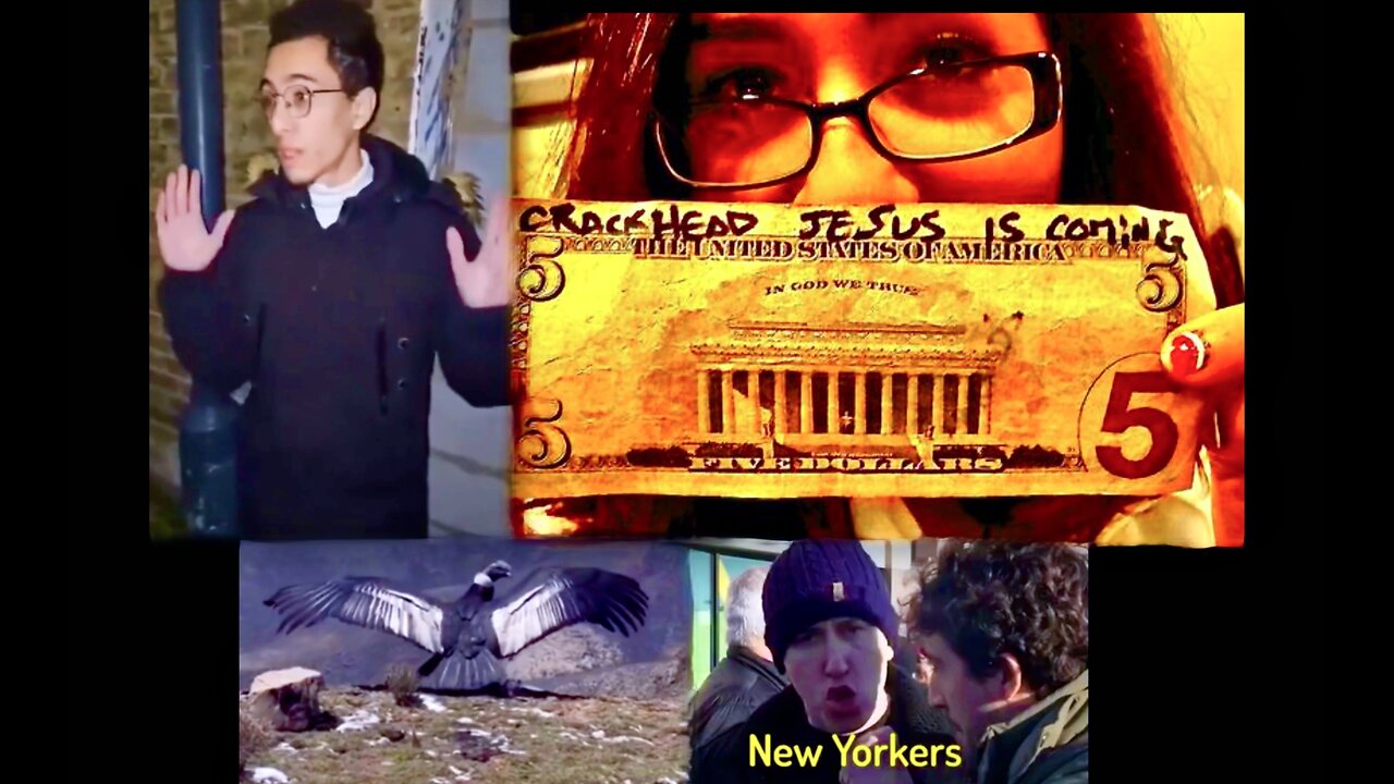 Racist New Yorkers Refuse To House Illegal Immigrants Pay Taxes To Support Criminals El Condor Pasa