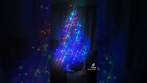 Oh Christmas Tree