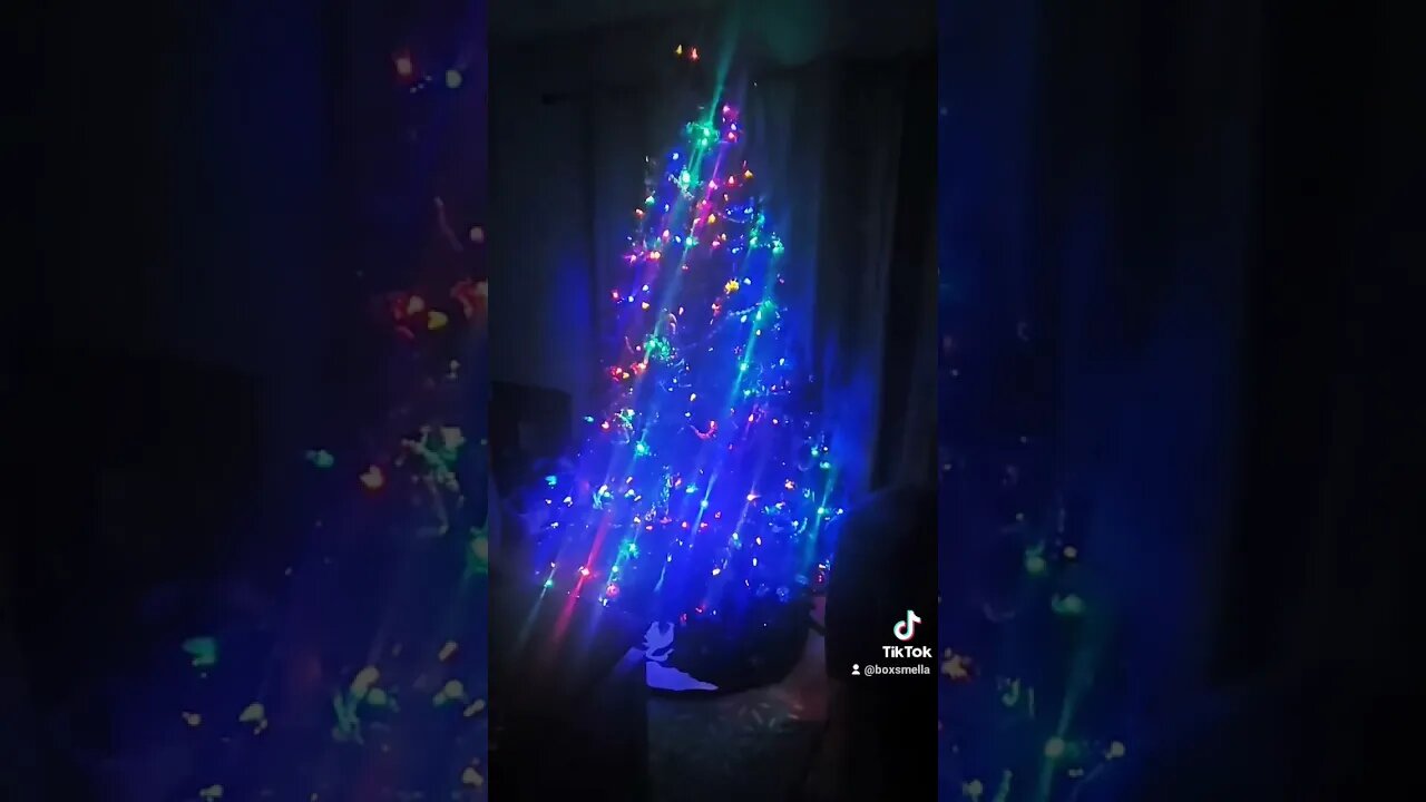 Oh Christmas Tree