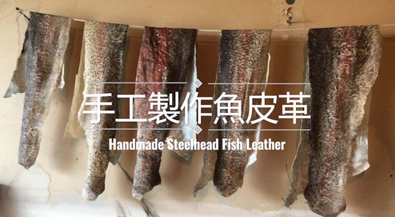 美國生活｜魚皮不只做料理 釣魚人手工製作魚皮革- 從新鮮魚皮鞣製成皮革 Making Fish Leather from Fish Skin. How to Tan Fish Skin