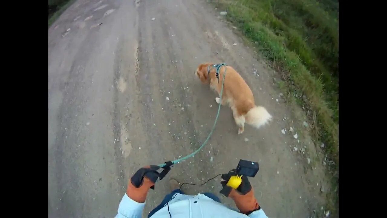 August 21st, 65º high res camera battery died, Flynn leaves his mark in Prentiss.