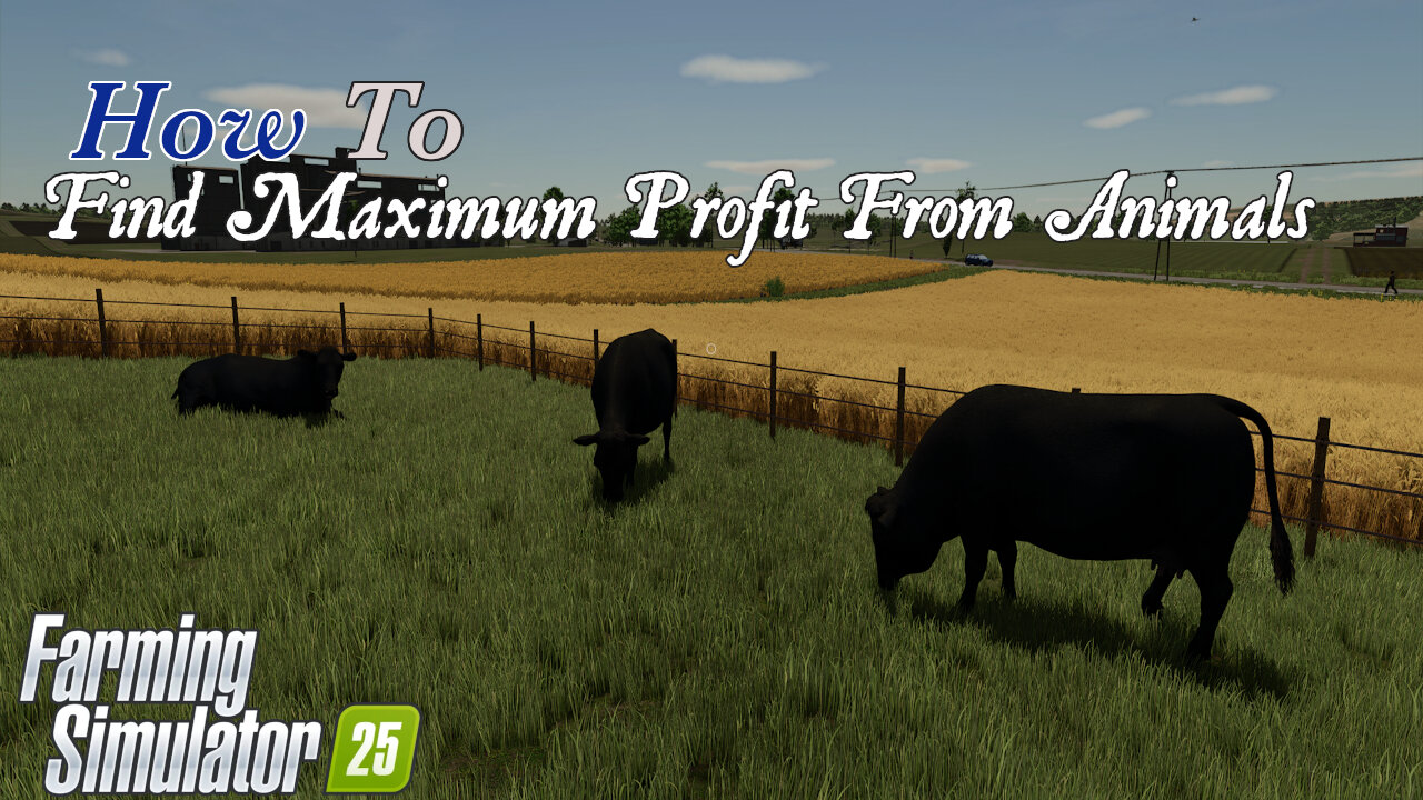 How To | Find Maximum Profit From Animals | Beef Cattle | Farming Simulator 25