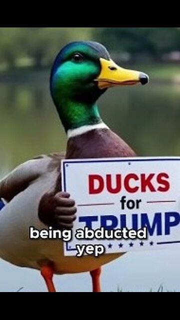 Are they eating cats & ducks in Springfield, Ohio? Fact Check on the fact checkers 🤯#shorts