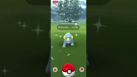 Shiny Compilation